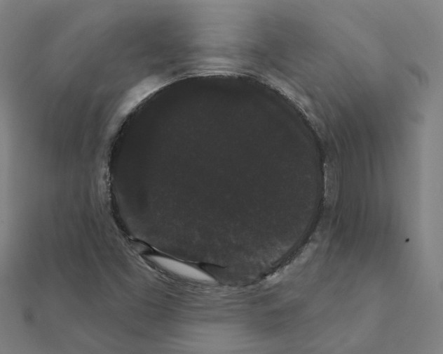 X0000111421453200908101046