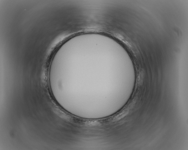X0000111421454200908101046