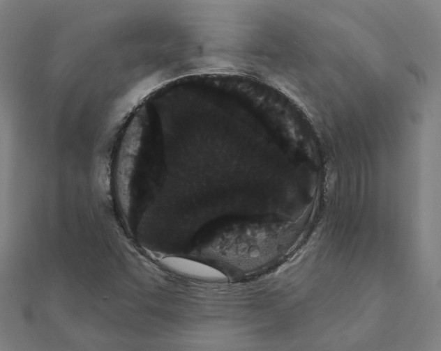 X0000111421455200908101046