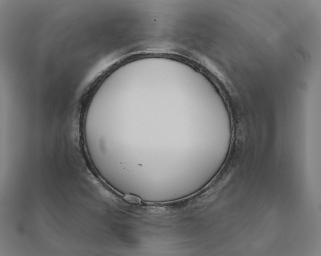 X0000111421456200908101046