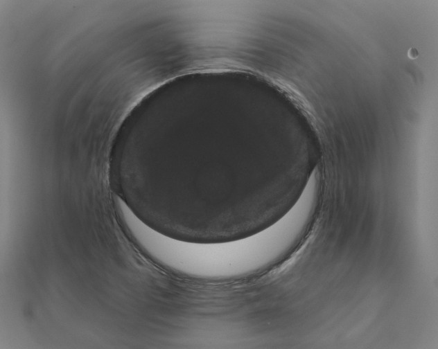 X0000111421457200908101046