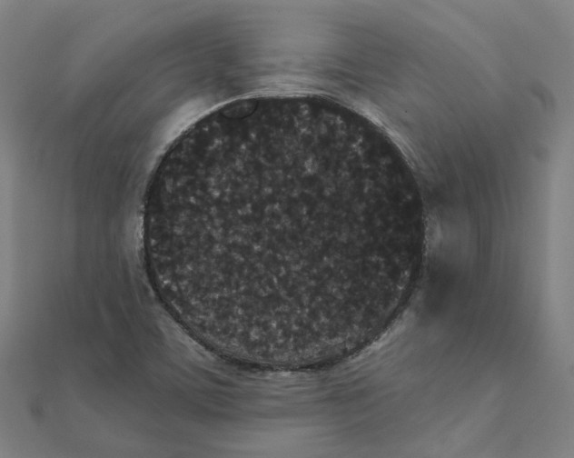 X0000111421459200908101046