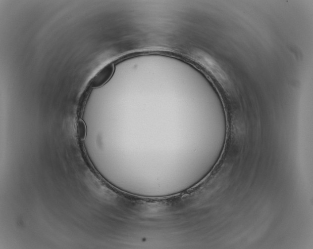 X0000111421460200908101046