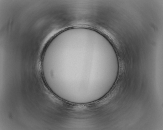 X0000111421462200908101046