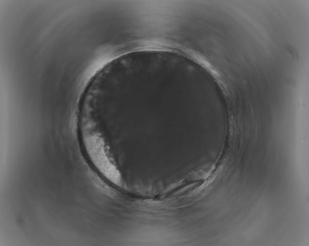 X0000111421463200908101046