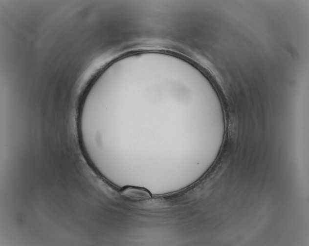 X0000111421464200908101046