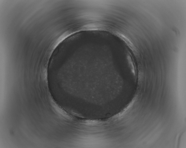 X0000111421465200908101046