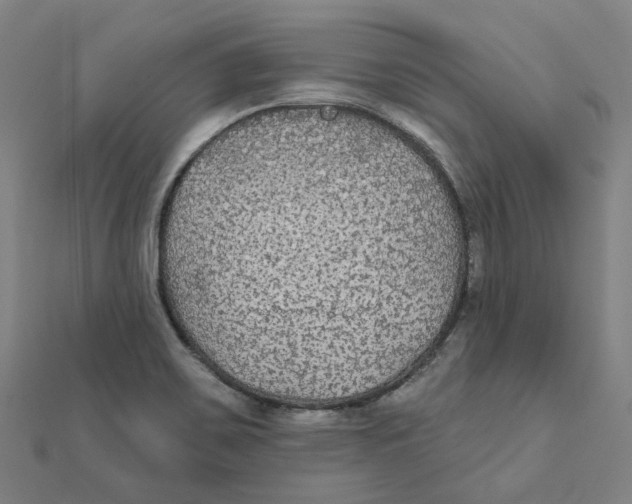 X0000111421467200908101045