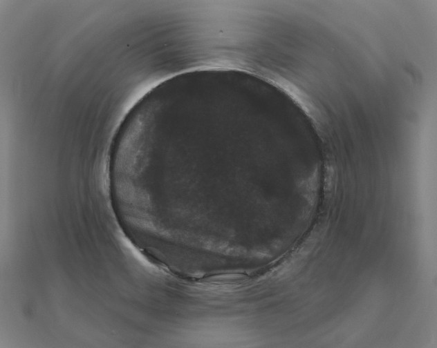X0000111421468200908101045