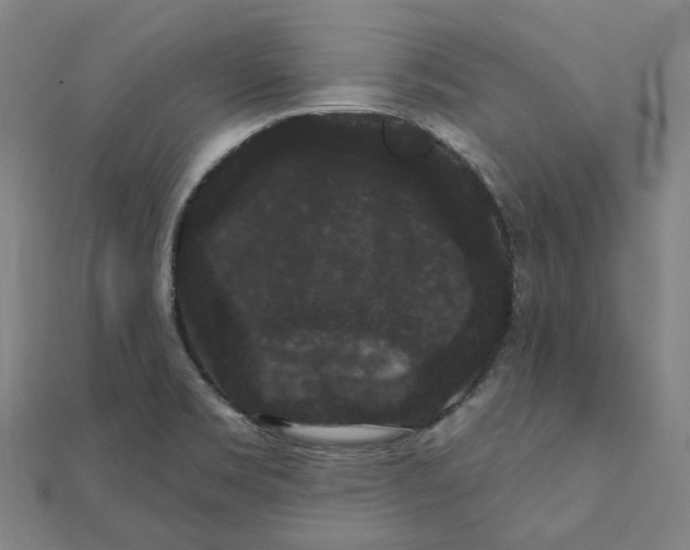 X0000111421469200908101045