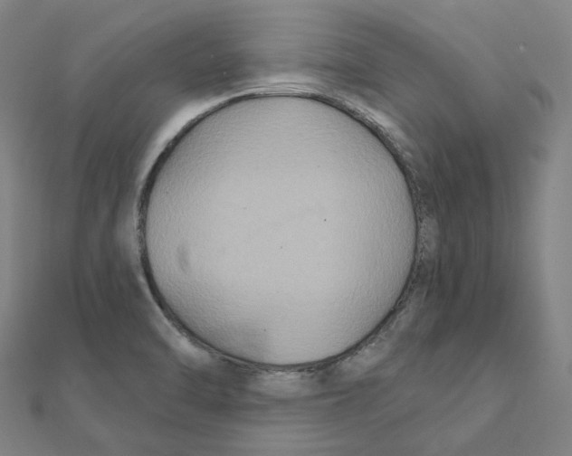 X0000111421470200908101045