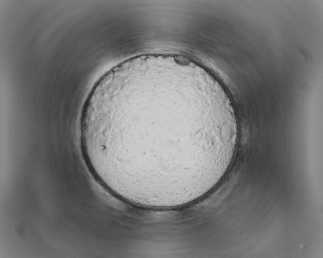 X0000111421471200908101045