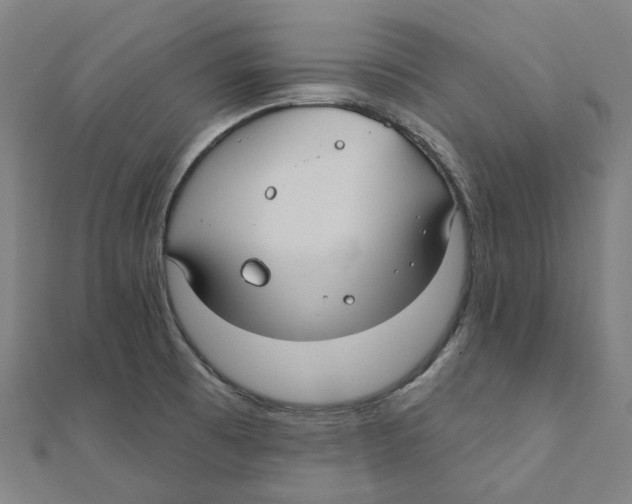 X0000111421473200908101045