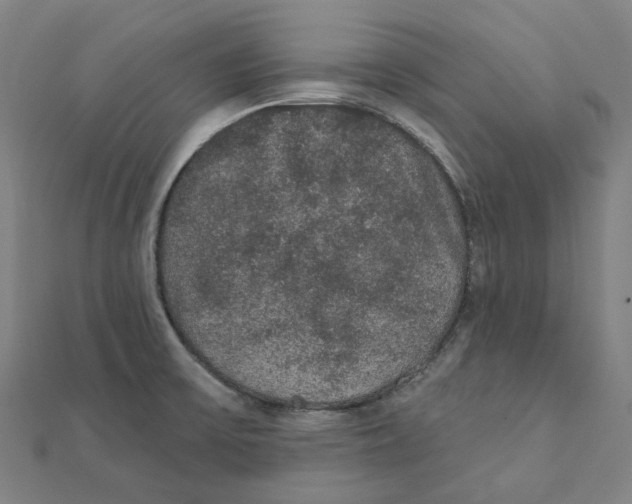 X0000111421475200908101045