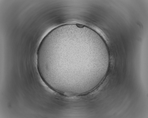 X0000111421476200908101045