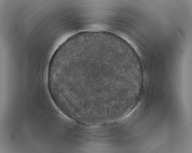 X0000111421477200908101045