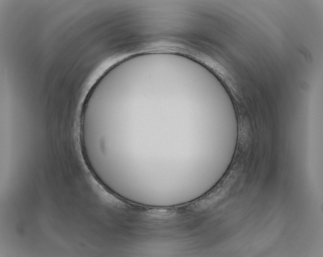 X0000111421478200908101045