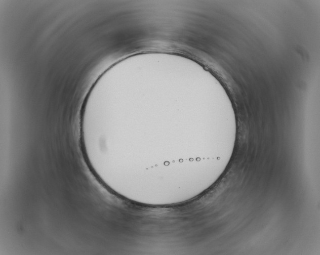 X0000111421479200908101045