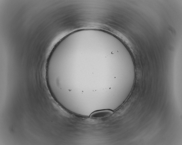 X0000111421480200908101045