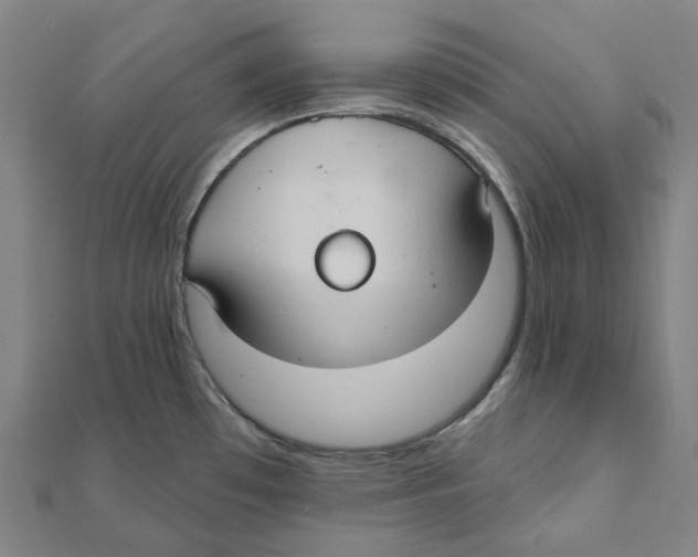 X0000111421481200908101045