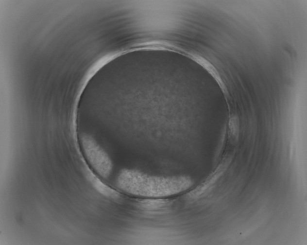 X0000111421482200908101045