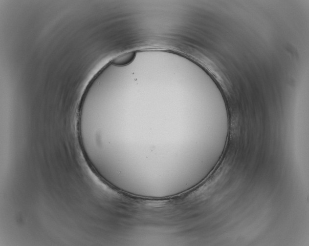 X0000111421484200908101045