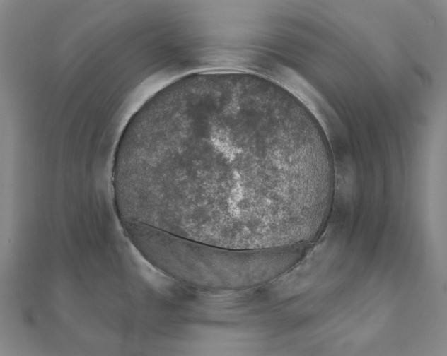 X0000111421485200908101045