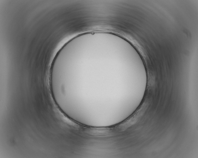 X0000111421486200908101045