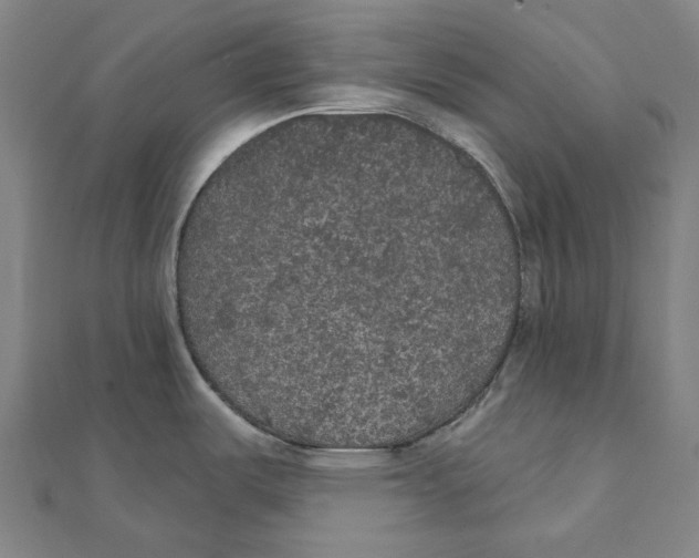 X0000111421487200908101045