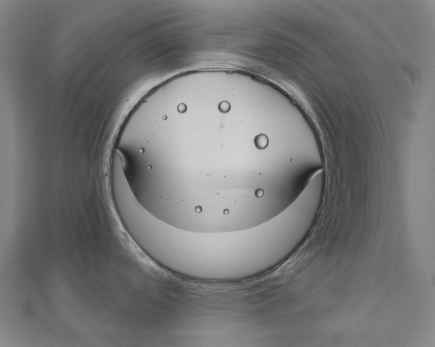 X0000111421488200908101045