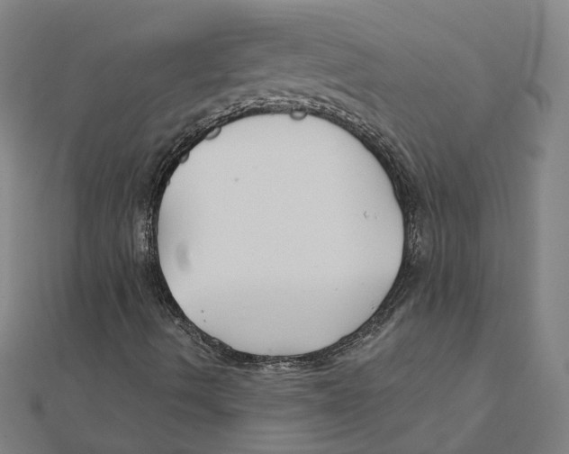 X0000111421490200908101045
