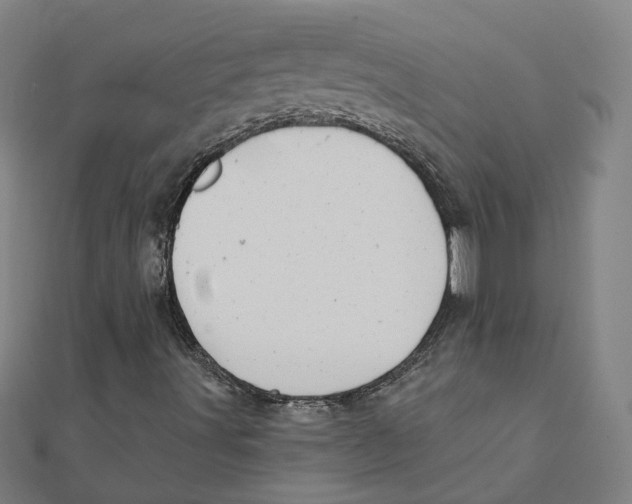 X0000111421491200908101045