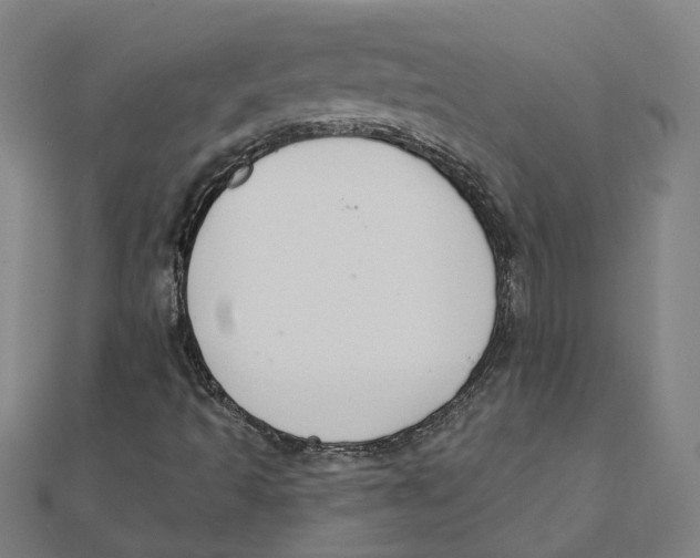 X0000111421493200908101045