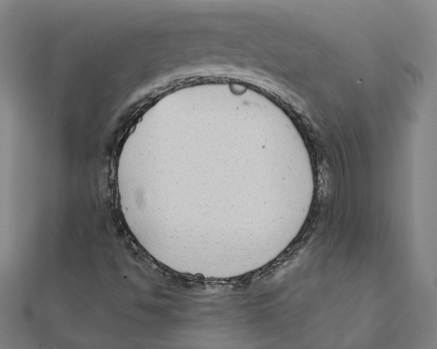 X0000111421494200908101045