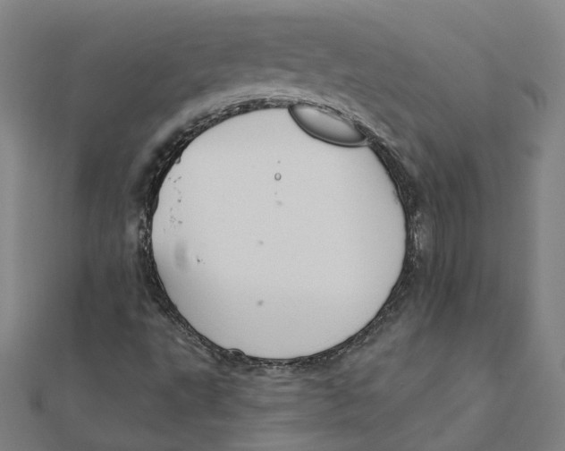 X0000111421495200908101045