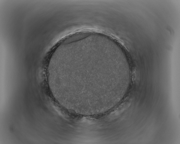 X0000111421496200908101045