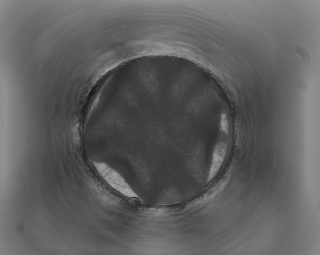 X0000111421497200908101045