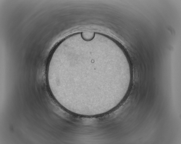 X0000111421498200908101045