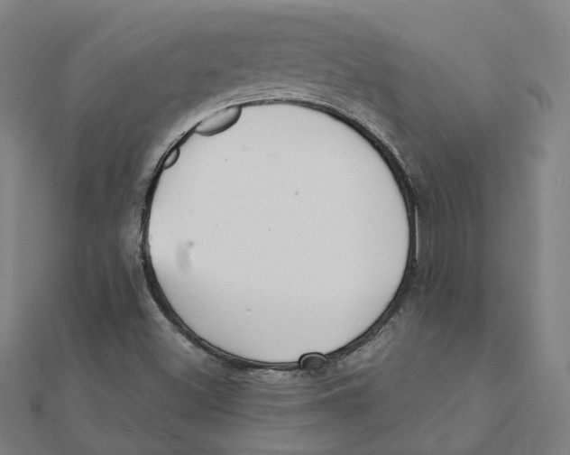 X0000111421500200908101045