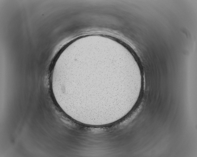 X0000111421501200908101045