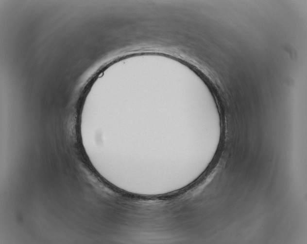 X0000111421502200908101045