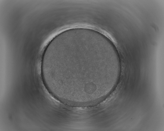 X0000111421504200908101045