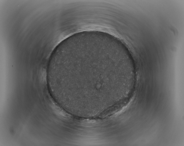 X0000111421505200908101045