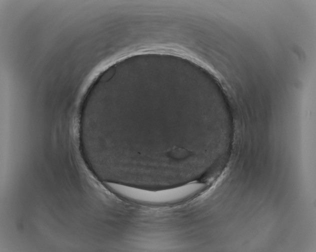 X0000111421506200908101045