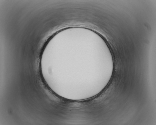 X0000111421507200908101045