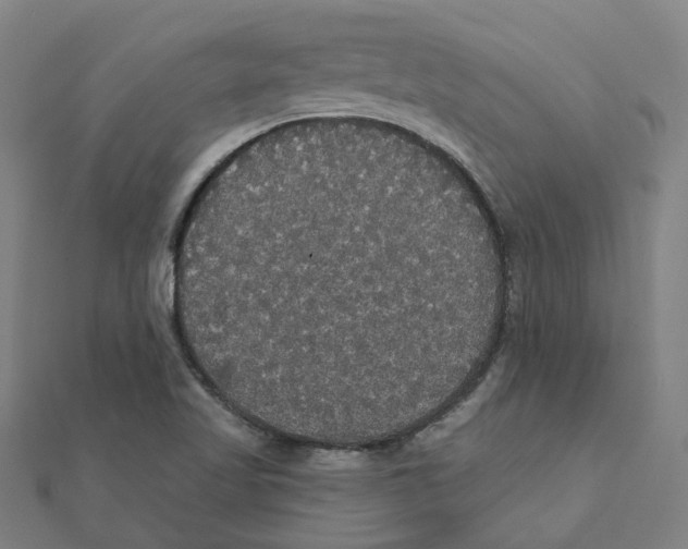 X0000111421509200908101045