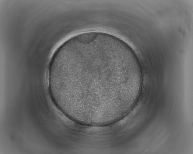 X0000111421510200908101045