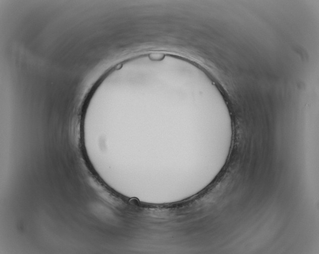 X0000111421511200908101045