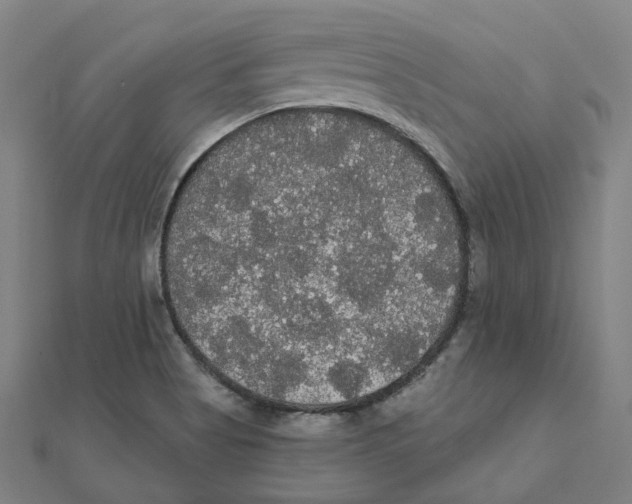 X0000111421513200908101045
