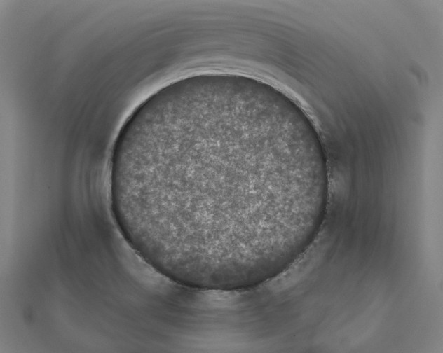 X0000111421514200908101045